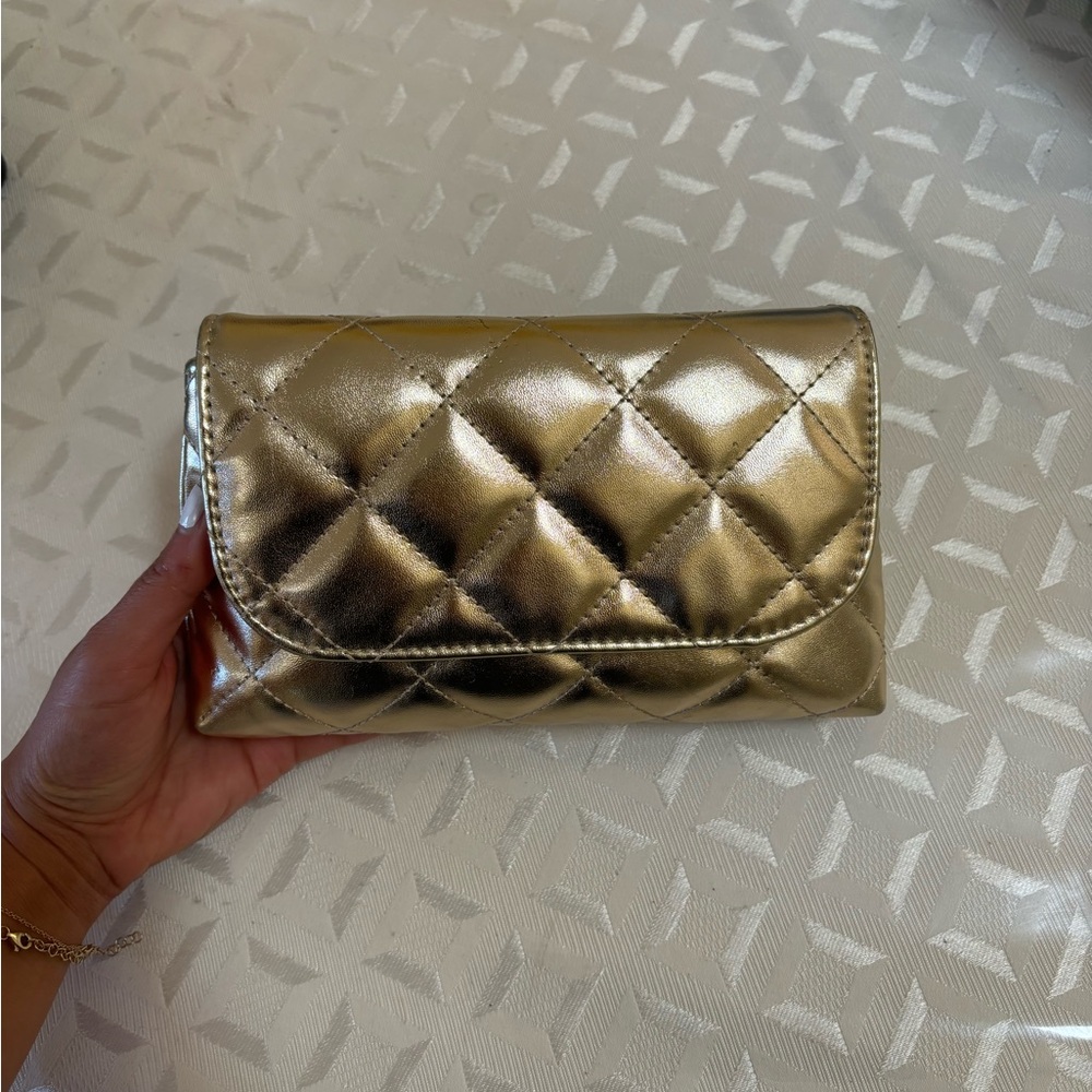 Aldo Metallic Gold Chain Purse - multi use bag